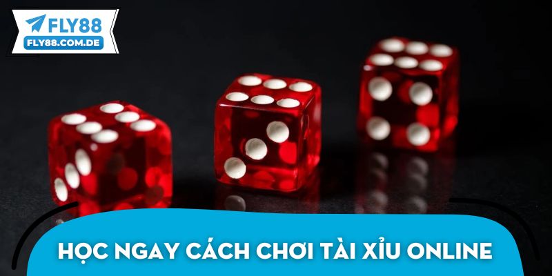 Học ngay cách chơi tài xỉu online thắng đậm tại FLY88