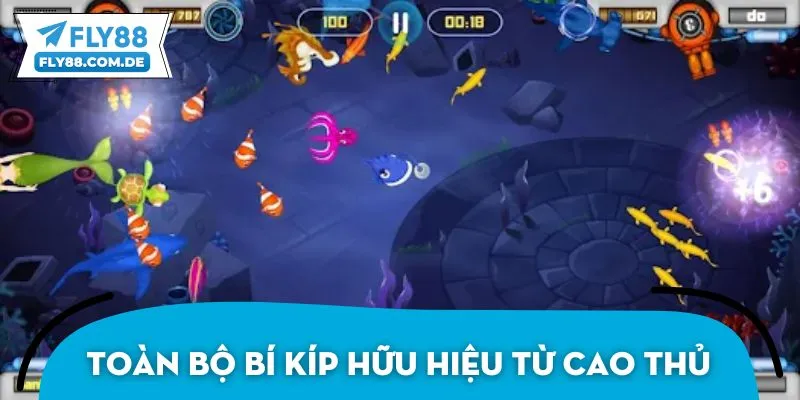 Toàn bộ bí kíp hữu hiệu từ cao thủ